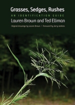 Grasses, Sedges, Rushes: An Identification Guide