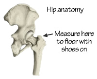 hip detail: ball of hip
