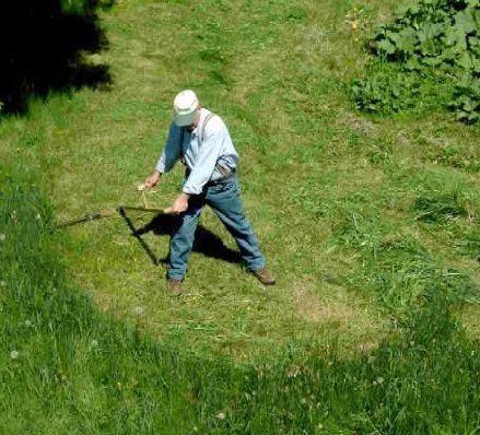 grass scythe cutting demonstration