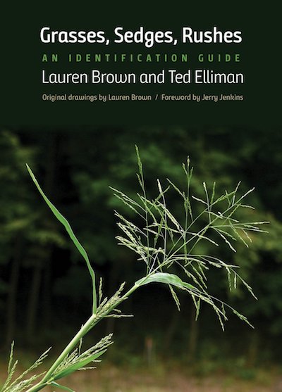 Book cover: Grasses, Sedges, Rushes: An Identification Guide